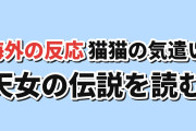 【子守歌】『薬屋のひとりごと』第3期第2話、猫猫の気遣いと天女の伝説に海外反応