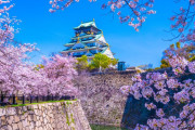 海外「日本に来てるけど、大阪に行かなくてもいいかな？」（海外の反応）