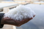日本の汚染水放流で「放射能塩」恐怖…天日塩買いだめの兆し＝韓国の反応