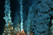 【海外】地球の極大転換が海底の巨大ゼブラ模様に刻まれている！その真実とは？