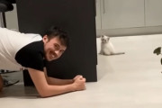 飼い主さん（そろりそろり）子猫「見つけたニャー！」子猫と飼い主さんの微笑ましい隠れん坊