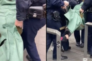 外国人「日本では警察がこんな捕まえ方をするらしいぞ・・・」