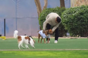 【名前は秘密！】大谷翔平の相棒デコピンと遊ぶ山本由伸の愛犬