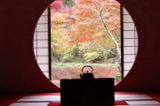 日本の素晴らしい季節「秋」-穏やかな音色に乗せてその紅葉が心に染みてくる… 海外の反応