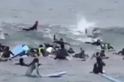 みんなで一斉に波乗りしようとした結果…　海外の反応