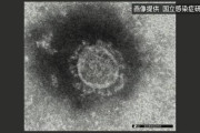 【悲報】中国さん、新型コロナ発生源を特定する公開調査をなぜか拒否し続けていることが判明