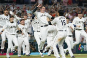 韓国人「WBC優勝直後の日本の駅周辺の様子をご覧ください」