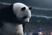 中国人「サッカーW杯 日本1-2ブラジル、この場面で泣いた」　中国人「心温かい優しい人」「日本代表は対戦相手に尊敬される」