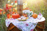 セブンイレブンの食べ物でおうちピクニック！「トイレも近いしイイネ！」「アメリカでも梅の花が楽しみだ」海外の反応