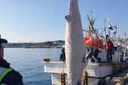 韓国「クジラが”偶然”獲れたから、食鯨を許可！ｗ」韓国で鯨肉が2300万ウォンで取引され流通する＝韓国の反応