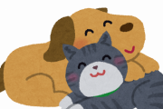 【海外】「危険じゃね？」「日本を支持する」犬と猫にマイクロチップ埋め込みを義務付ける日本の法律に海外仰天！