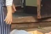 海外「イギリス、凍った魚を地面に叩きつけてハラル食品店で販売する移民労働者」