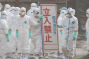 【中国の反応】日本で鳥インフル再発生、がトレンド入り「汚染水で茹でれば食えるwそしたら両方捨てずに済むからなw」