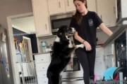 この子のおかげで今日を生きられる！飼い主の異変を察知し、助けるための行動をする犬