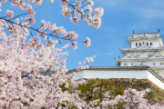 中国人「日本経済はなぜ低迷しているのか？日本人は家も車も買わないが本当に羨ましい人々だろうか？」