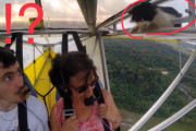 海外「猫はフライト前に下ろしましょう。」　飛行機の上で寝てた子猫に気付かず離陸してしまう映像　海外の反応