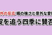 【海外の反応】桃源暗鬼 日光・華厳の滝編第4話（第28話）颯の強さと意外な愛嬌、四季の行動に賛否