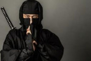 日本の忍者博物館に窃盗犯が侵入して海外びっくり仰天　海外の反応
