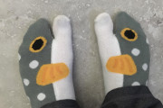 海外「日本で靴下を買ってきたよ！→なんか気持ち悪くね・・・？」外国人が日本で購入したユニークな靴下が話題にｗｗｗ
