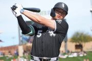 村上宗隆の月間最優秀新人賞初受賞にMLBファン騒然！←「怪我が本当に残念だ！」（海外の反応）