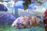 日本の技術すげえ！日本が開発したロボット魚の泳ぎがリアルすぎると海外で話題に