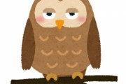 「フクロウの完璧な飛行姿」をカナダのカメラマンが撮影する