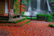 海外「これはあまりに美しい風景だね」日本のとある寺の境内から見える滝の美しさと雰囲気が素晴らしいと話題に