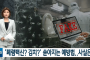 【韓国の反応】キムチで新型コロナウイルスを予防？
