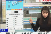 韓国人「日本の放送事故」