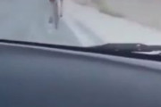 海外「死刑にするべき」 車を盗み遊び半分で人を轢いてその光景を自ら撮影するアメリカの10代