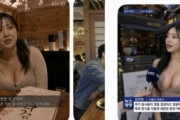 韓国人「AI美女を使って飲食店の宣伝をするのは詐欺だろ！」AI生成モデルによる広告が横行、公正取引委員会が規制へ