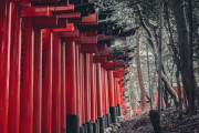 イギリス人「京都で撮影したお気に入りの写真を見せていく！」