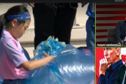 海外の反応「世界で最も信頼できる民族」日本代表の少女ファンがトルコ撃破後にスタンド清掃　現地で反響
