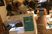 猫アルアル。そこはダメ！今それ使いたいのに！って場所に必ず猫が陣取ってくる件