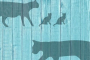 「お隣の猫がうちの猫を妊娠させた…翌朝、ドアの前にこれが置いてあった！」海外の反応
