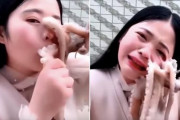 海外「タコよ、よくやった！」 中国美人ブロガーがタコを踊り食いして反撃される→外国人からは「ざまぁ」の声！ 海外の反応