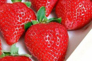 海外「日本の果物が凄く美味しかったんだけど、高級フルーツなら何がお勧め？」日本の果物に対する海外の反応