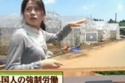 中国人「3年間日本へ出稼ぎに行った義妹が、帰国後すぐ亡くなった。日本での仕事が過酷で、病気になっていたようだ」　中国の反応