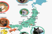 海外「日本犬を知りたい人必見マップ！」→「おもしろい！」「全種欲しいぜ」「東京犬はいるの？」