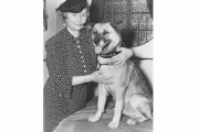 海外「縁起がいい」日本がヘレン・ケラーに贈った秋田犬の名前に海外ビックリ仰天！（海外の反応）