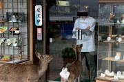 外国人「日本へ行ったら鹿と飲食店の主人がにらめっこしてた…」