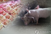 国産豚肉と偽った韓国の飲食店に罰金700万ウォン、コメントでは「安すぎる処罰」と不満続出