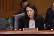 【海外】「え？」アメリカ議員さん、日本ゲーム市場のソニーの独占状態を批判してしまうw