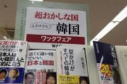 韓国人「日本は嫌韓を政治利用している」日本に嫌韓が多い理由とは？　韓国の反応