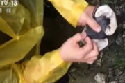 海外「コロナは武漢の科学者が防護服を着けずにコウモリに噛まれたことで広まった可能性が高い」