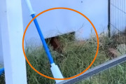 床下に数か月も見知らぬ男が住み着いていた恐怖体験をSNSに投稿した女性