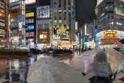 外国人「龍が如くが好きすぎて聖地巡礼してきた！ヤクザとも出会ったよ！」