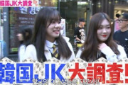 【画像多数】韓国人「日本メディアが韓国の女子高生を集中取材した結果‥ある事実が発覚！」→「日本とはこんなに違うのですか‥（ﾌﾞﾙﾌﾞﾙ」　韓国の反応