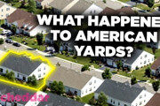 「芝生の手入れは超大変！」アメリカの庭はなぜ小さくなっているのか？　海外の反応