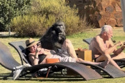 【海外】リゾートでカップルがスマホに夢中!? 巨大動物がスナックを奪う瞬間を見逃した理由とは